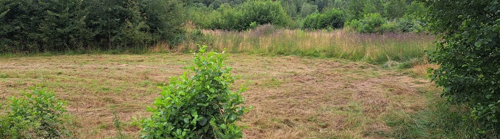 Dzialka - tylko 30min szlakiem na święty krzyż!