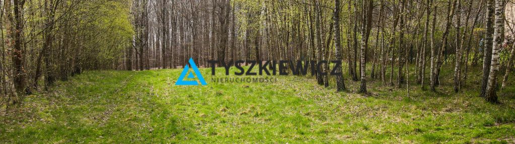 Malownicza okolica 300m od jeziora liniewskiego