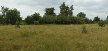 Działka w pędzewie!!! z wz.