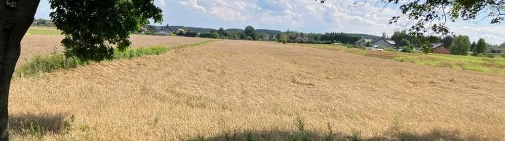 Działka 2.1ha, stryków