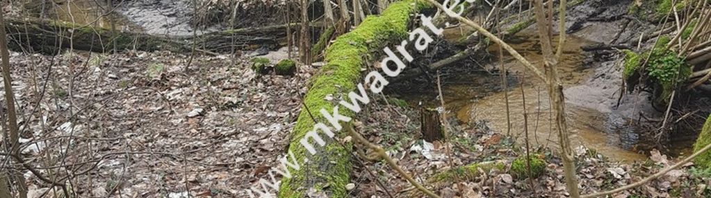 ⭐⭐⭐⭐2500 m2 urokliwa działka przy lesie z mpzp⭐⭐⭐⭐