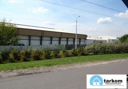 Działka usługowa z halą 5000m2 białołęka