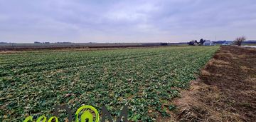 Działka budowlana w pliszczynie...