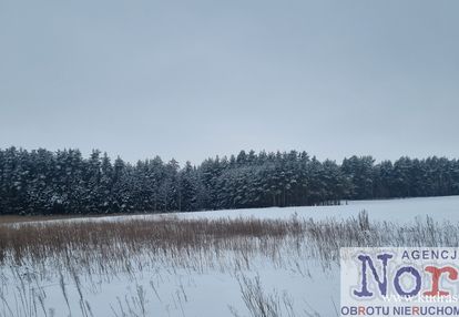 Działka z widokiem na las, pozwolenie na budowę