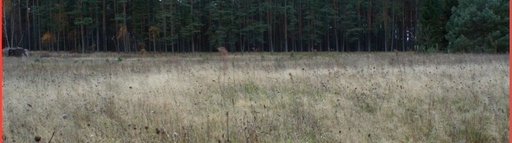 Działka budowlana wśród natury malowniczy widok