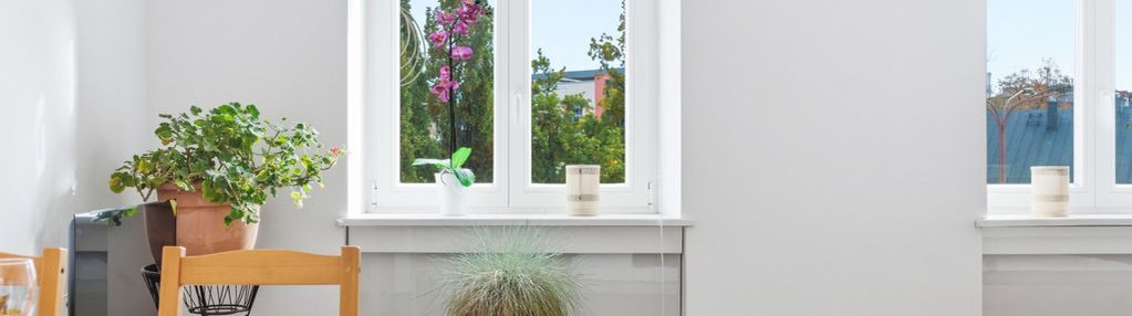 Wyjątkowa kawalerka w historycznym centrum bielska