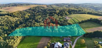 1,47 ha, wz! dom w lesie? biznes? jedyna taka!
