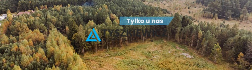 Działka budowlana w kowalewie pod lasem