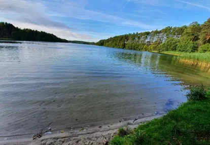 Działka na sprzedaż 3000m2