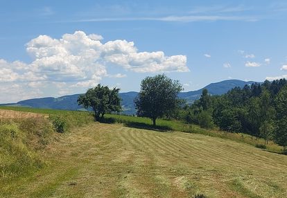 Beskid sądecki - 45 ar z możliwością zabudowy