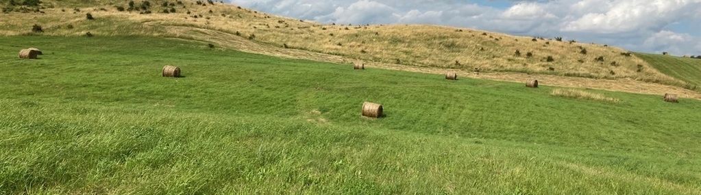 Atrakcyjna działka do zabudowy!