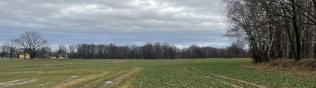 Szczere pole w zabłociu - cisza i spokój