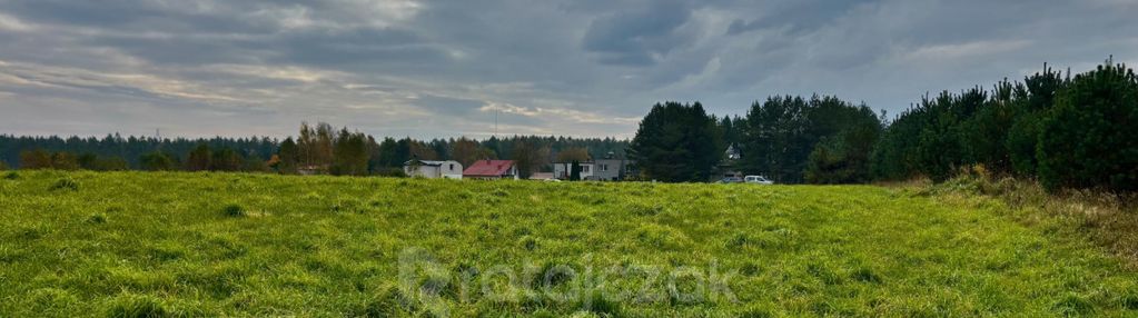 Zabudowa jednorodzinna wolnostojąca lub bliźniacza