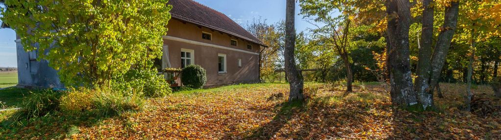 Siedlisko w kierwinach, 9km od lidzb. warmińskiego