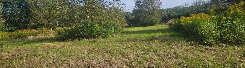 Rybnik niedobczyce * bud-rolna pod stawy 75a