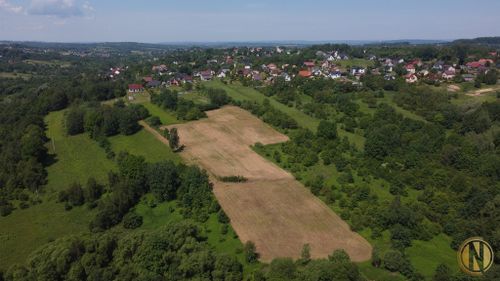 Golkowice | 12 743 m² | 4 działki | inwestycja