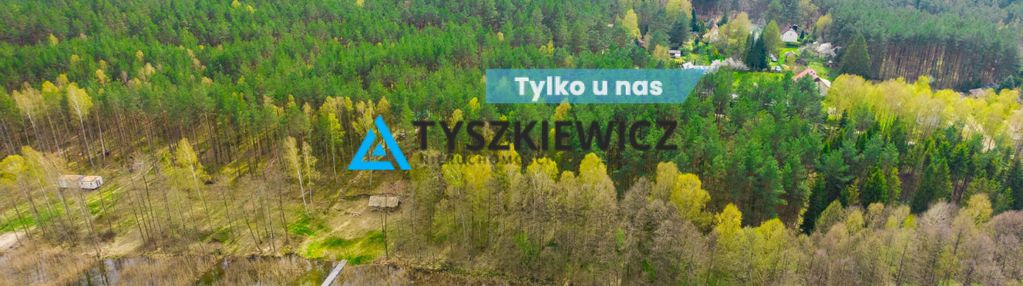 Las z linią brzegową jeziora - piece %nowa cena%