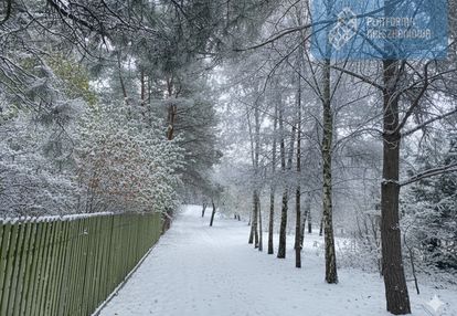 /sad rzeka las/działka w 1h do warszawy/