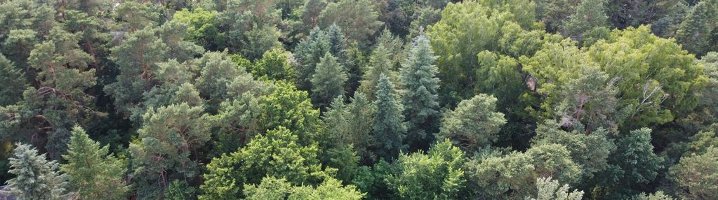 Józefów działka 9200m2 z linią brzegową j. łacha.