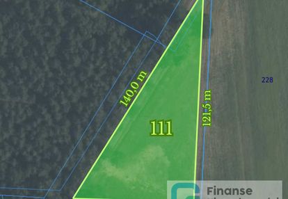 Działka budowlana 3800 m² – nowe byliny