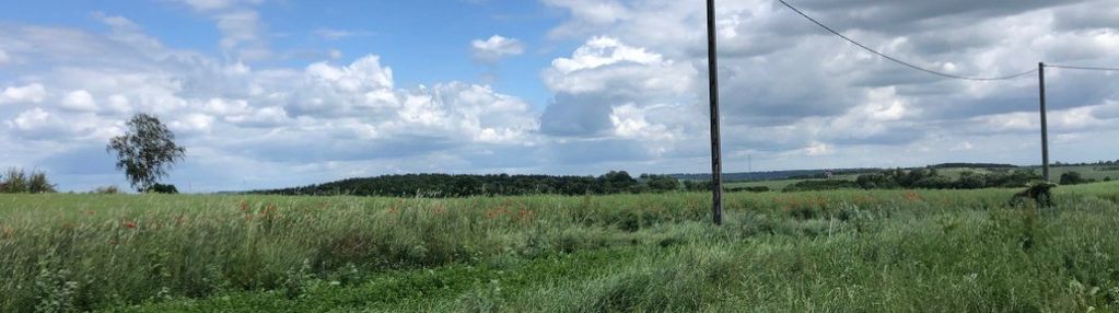Działka siedliskowa nowiec 3,8548ha