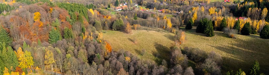 Działki rekreacyjne w otulinie:lasu, ciszy,spokoju