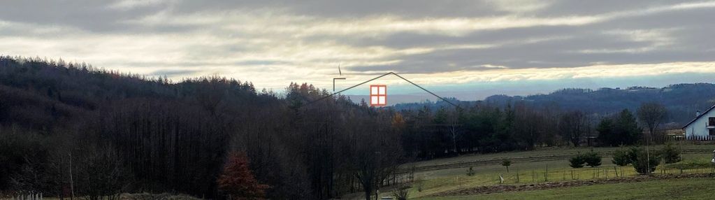 Działka leśna 1,63 ha hucisko nienadowskie