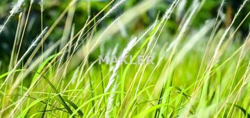 Działka z wz w rynarzewie