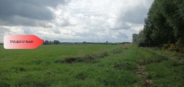 Łąka, las  - łodzia