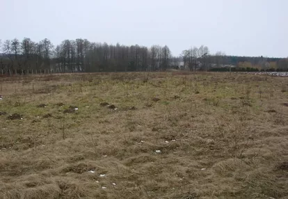 Działka na sprzedaż 8111m2