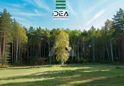 Piękna działka w otulinie lasu! kameralne osiedle!