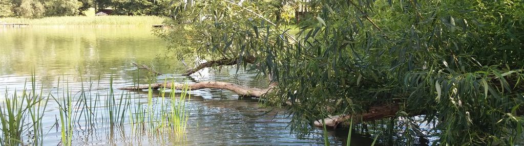 Działka przytuły - mazury