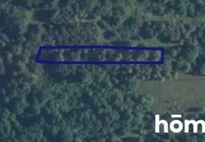 Działka leśna– sułkowice, powiat myślenicki