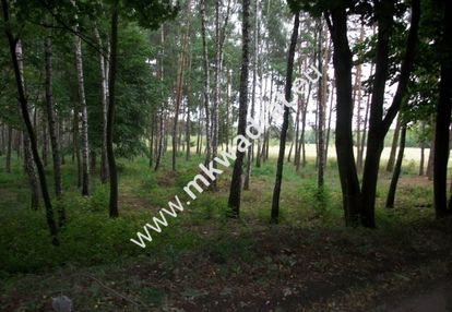 Działka rolna 13 600 m² żabia wola