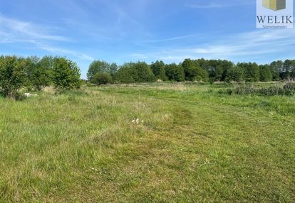 Działka w jagodnicy 2,7 ha