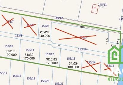 Dziłki w pierwszej lini brzegowej zalesie królews.