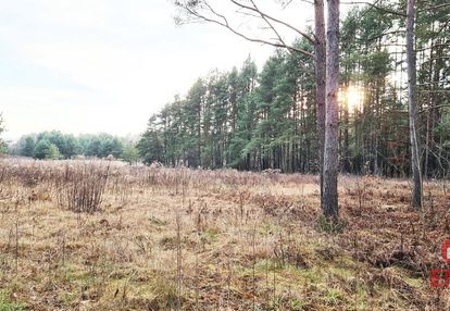 Działka 8500 m2, jurowce