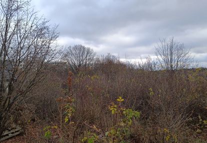 Super działka w otoczeniu domów jednorodzinnych