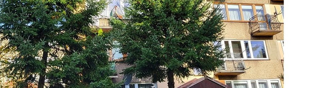 Mieszkanie wśród zieleni