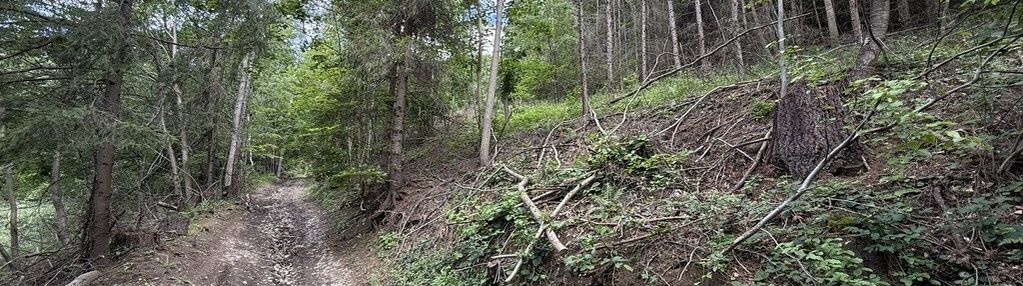 Nieruchomość gruntowa z własnym lasem