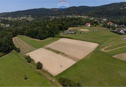 Prywatny las 3331 m2 - twoja przestrzeń w naturze