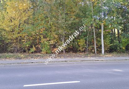 ⭐⭐⭐⭐ pod inwestycję, 8369 m2, pod kampinosem ⭐⭐⭐⭐