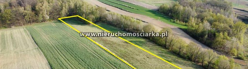 Działka rolna przy lesie lubomia ul. polna
