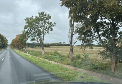 Okazja - działka w dygowie