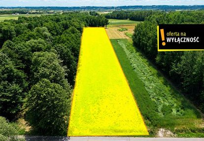 Działka budowlana w otulinie lasu gm. łagów