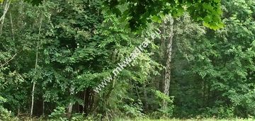 Działka granica blisko wkd nowa wieś