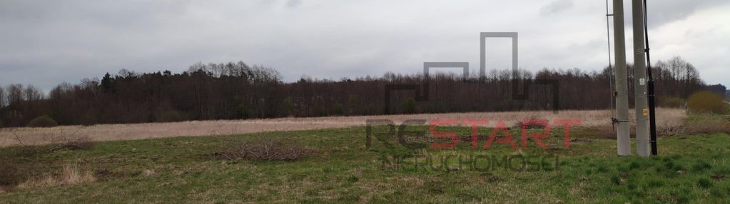 Duża działka na sprzedaż!