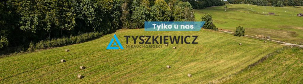 Kompleks 6 działek przy lesie trzepowo