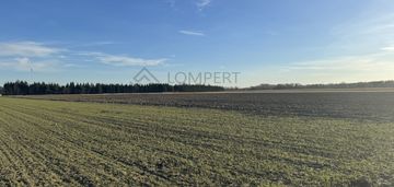 Działka 1,9 ha, bez mpzp, blisko komunikacji