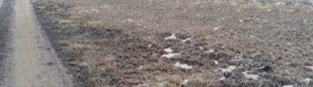 Działki z perspektywą na pełnych uroku terenach